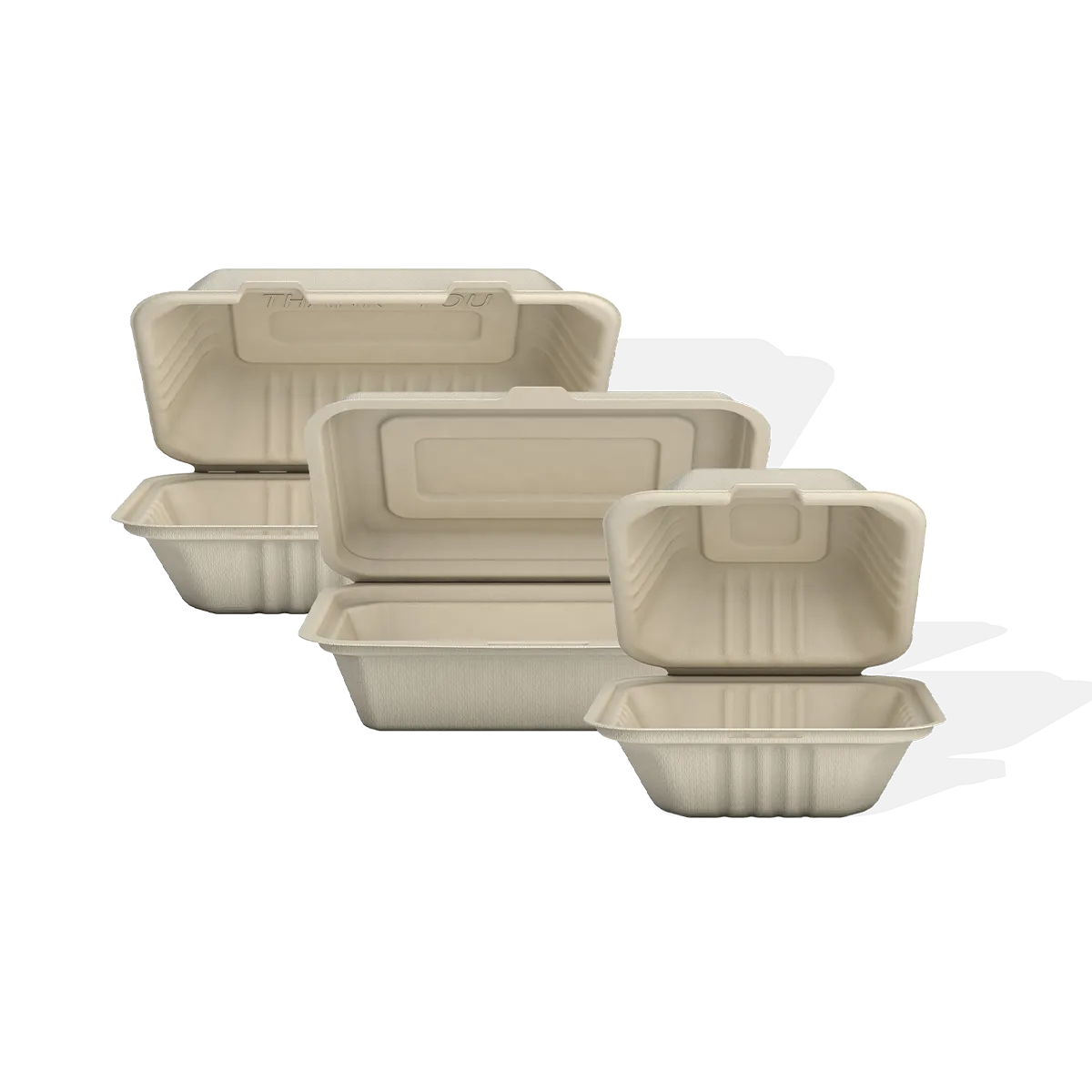 Bagasse clamshell