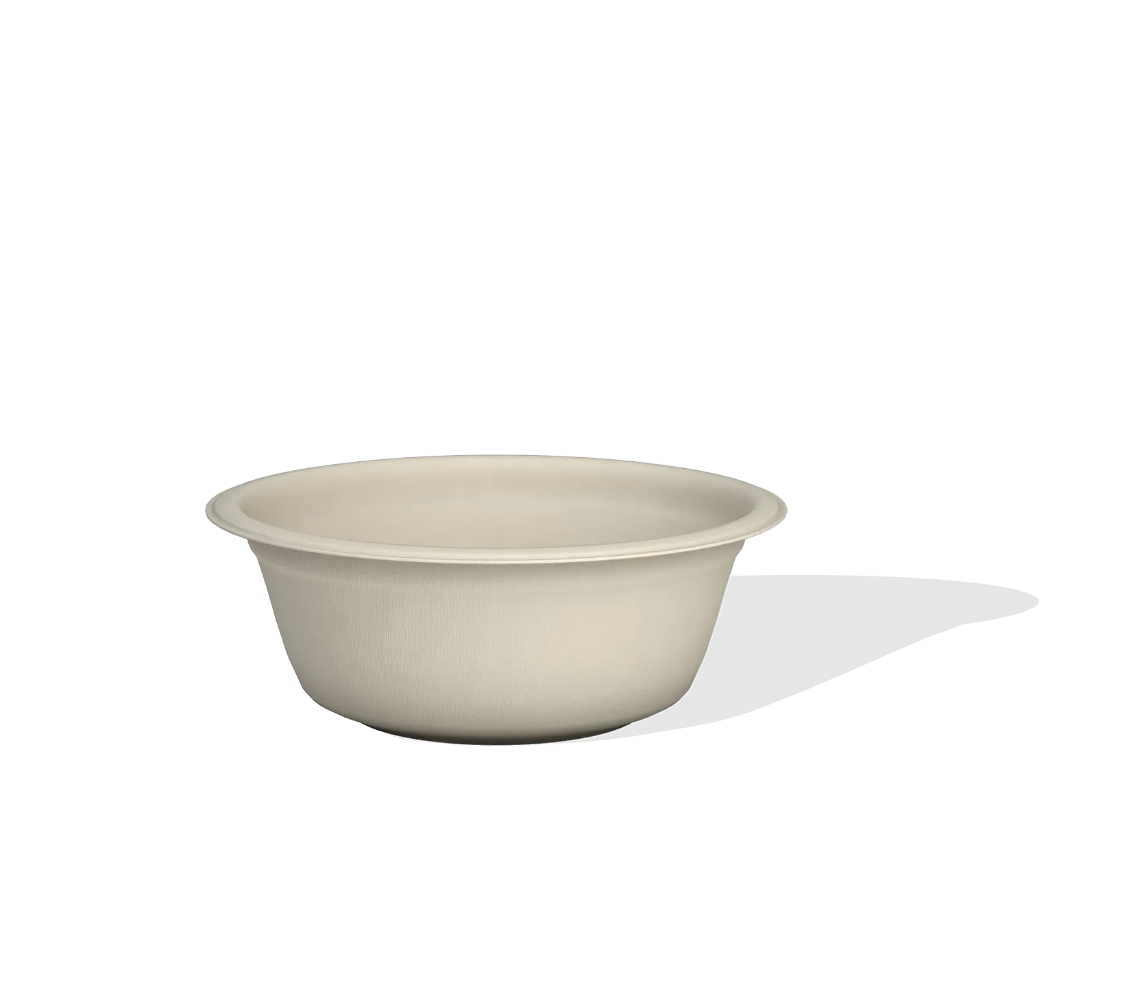 Bagasse Bowl