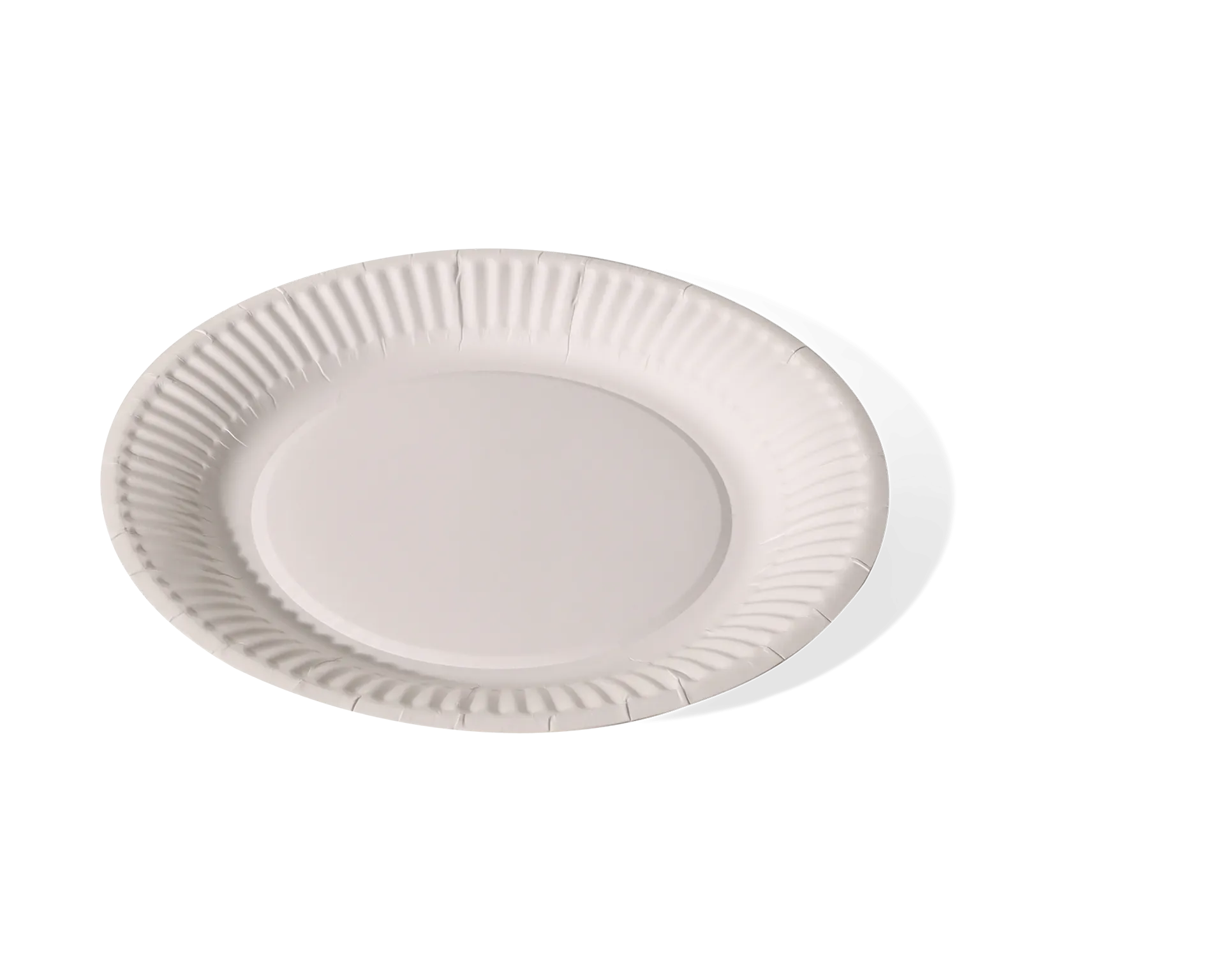 Paper plate