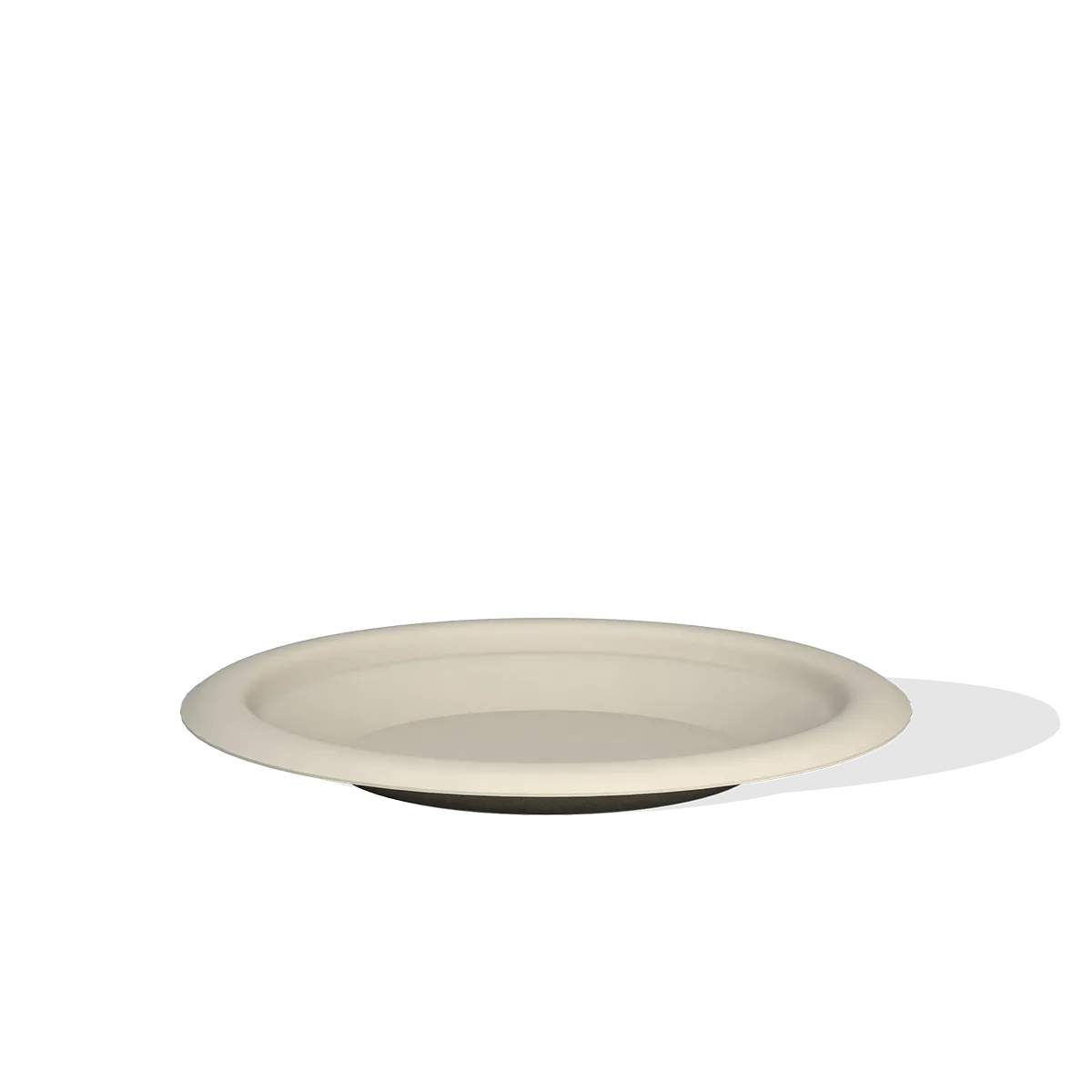 Bagasse plate