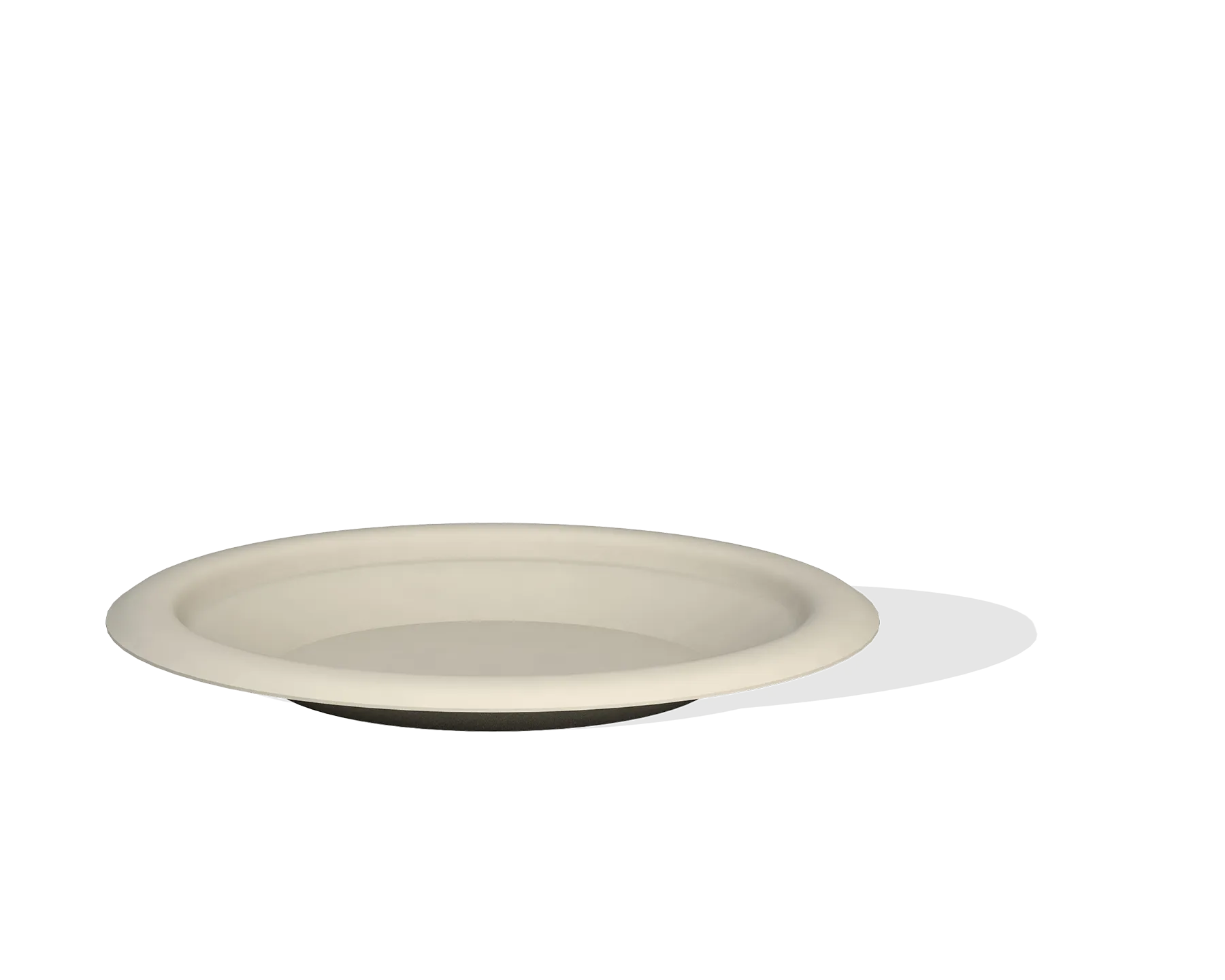 Bagasse plate