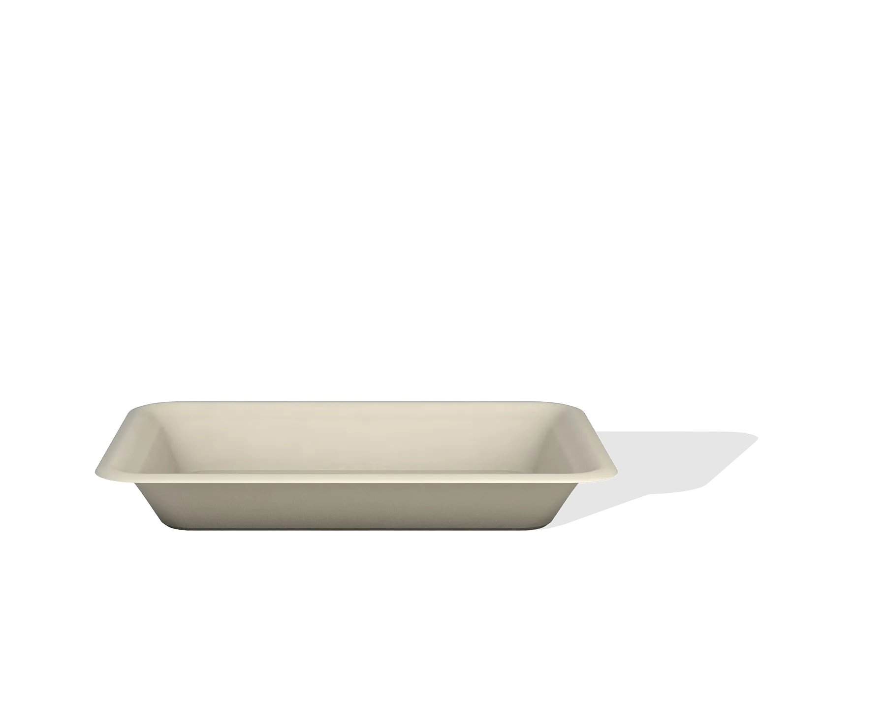 Bagasse tray