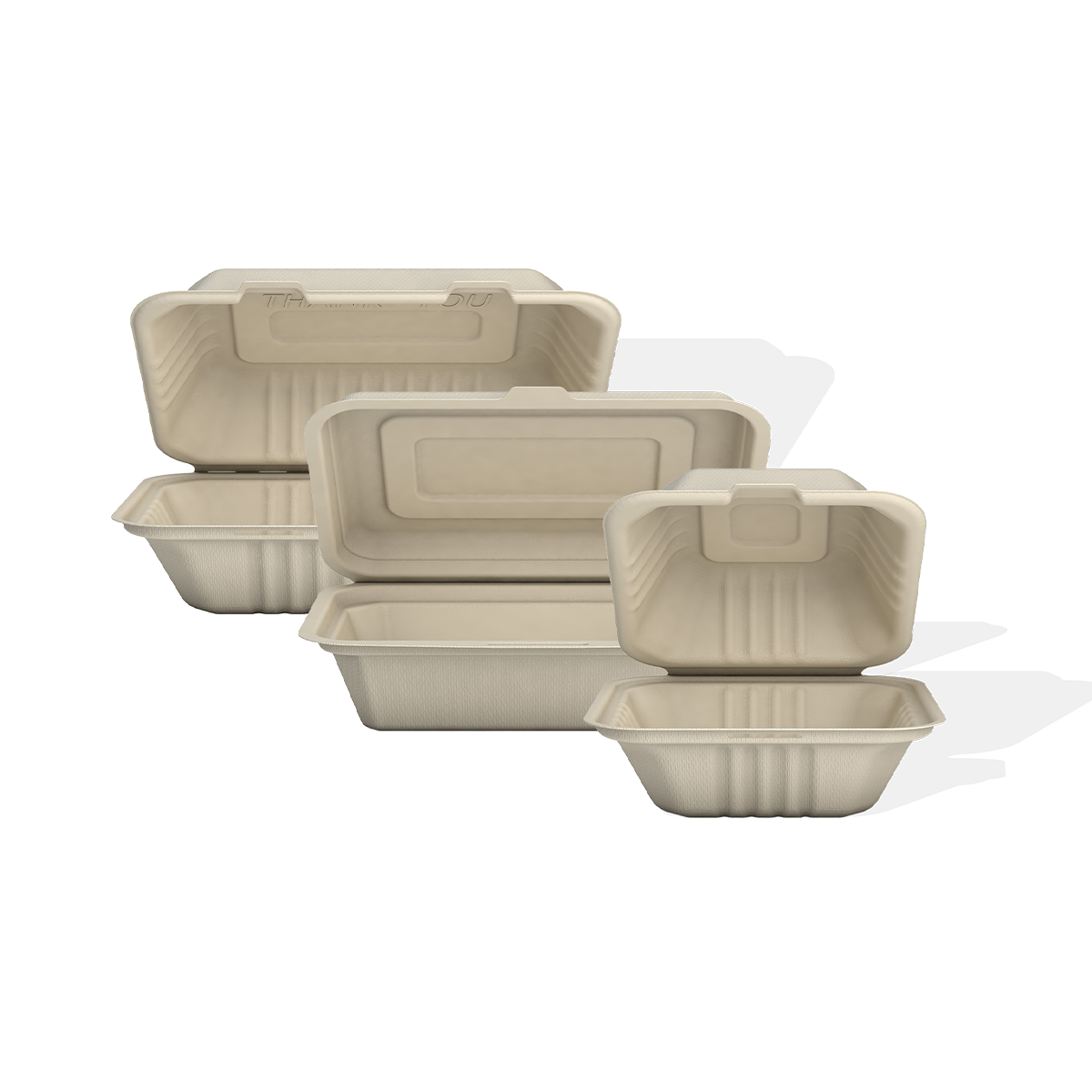 Bagasse clamshell