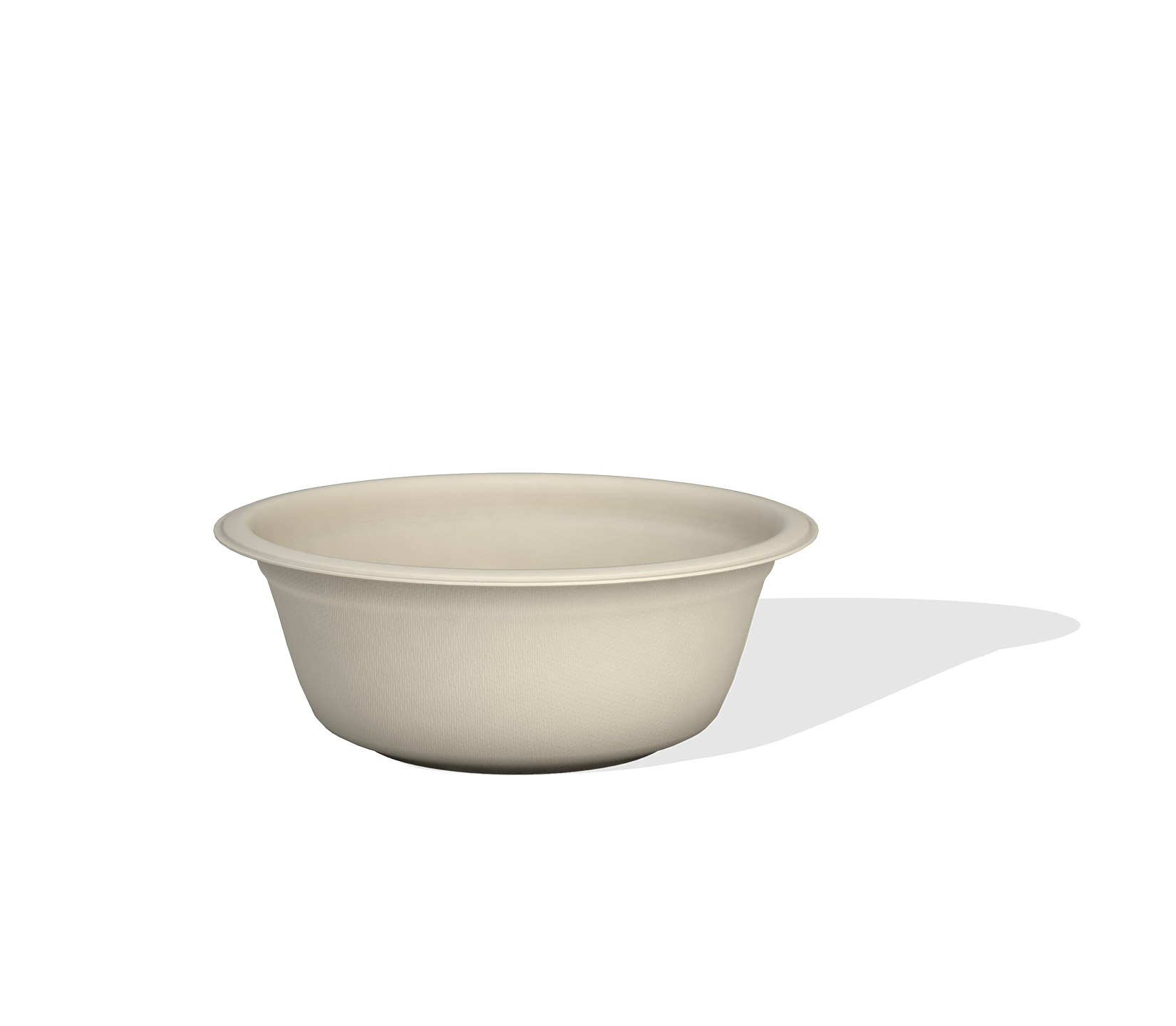 Bagasse Bowl