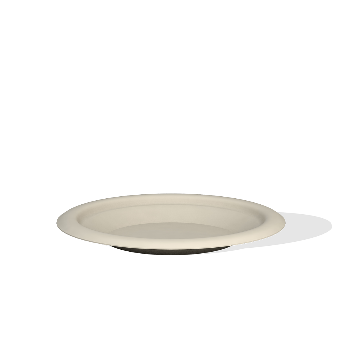 Bagasse plate