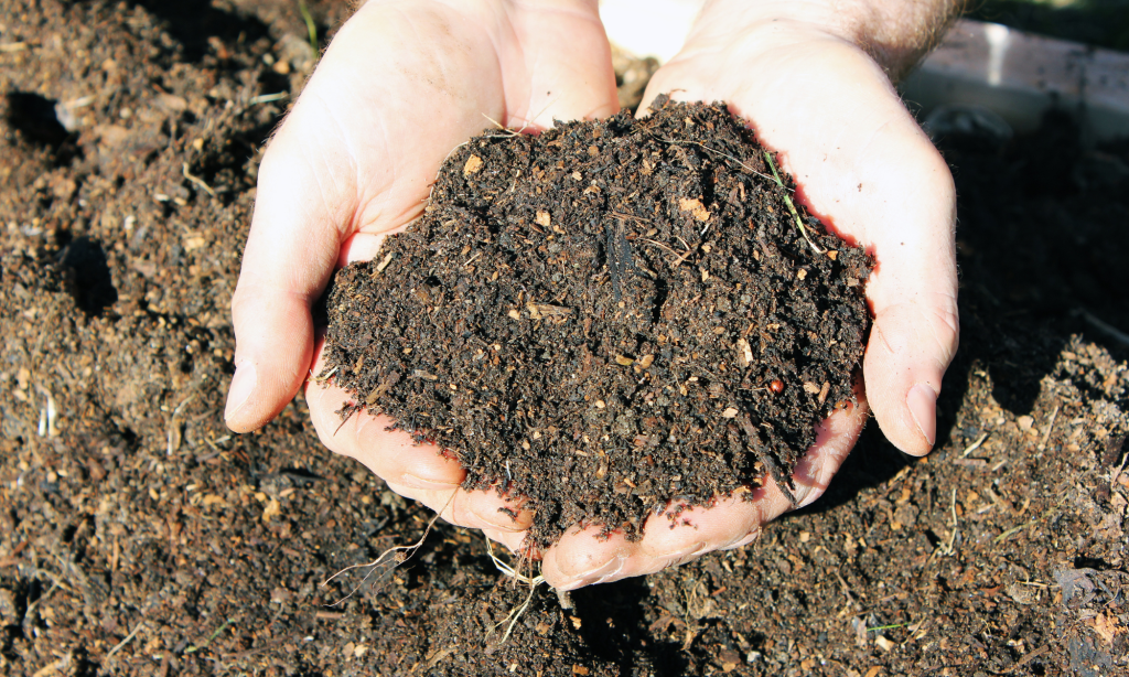 To compost, or not to compost, that is the question!